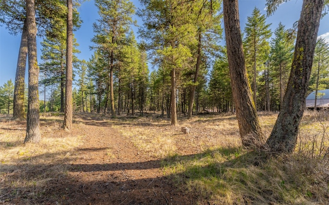 1298 E Mountain Meadow Rd, Kalispell, MT 59901 - view of tree filled area