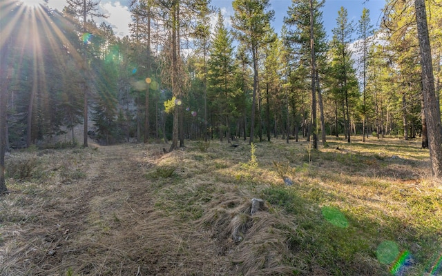 1298 E Mountain Meadow Rd, Kalispell, MT 59901 - view of tree filled area