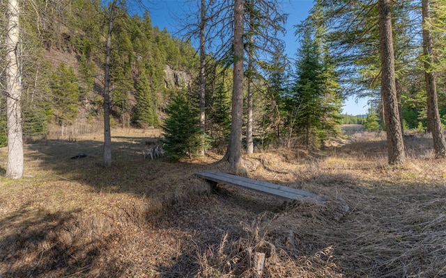 1298 E Mountain Meadow Rd, Kalispell, MT 59901 - view of yard with a wooded view