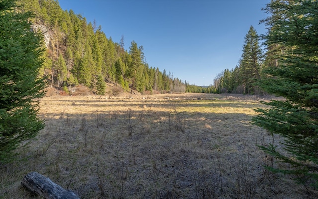 1298 E Mountain Meadow Rd, Kalispell, MT 59901 - view of yard with a forest view