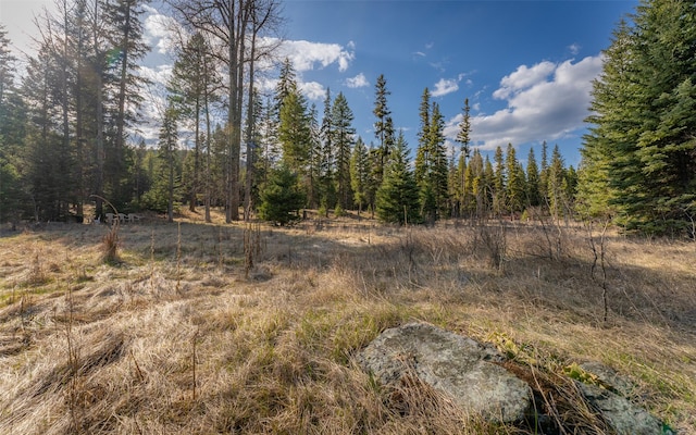 1298 E Mountain Meadow Rd, Kalispell, MT 59901 - view of wooded area
