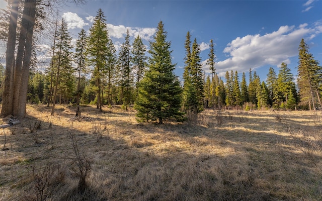 1298 E Mountain Meadow Rd, Kalispell, MT 59901 - view of woods