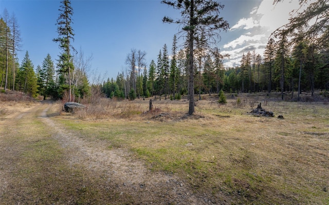 1298 E Mountain Meadow Rd, Kalispell, MT 59901 - view of yard featuring a forest view