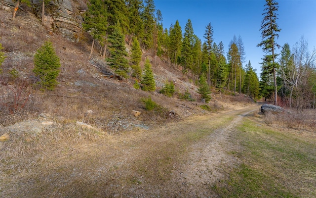 1298 E Mountain Meadow Rd, Kalispell, MT 59901 - view of road