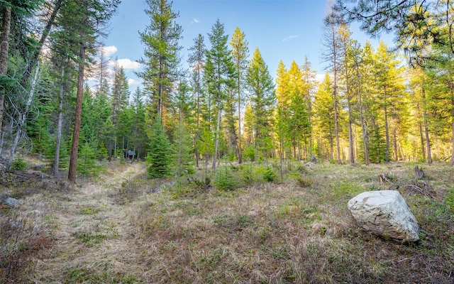 1298 E Mountain Meadow Rd, Kalispell, MT 59901 - view of woods