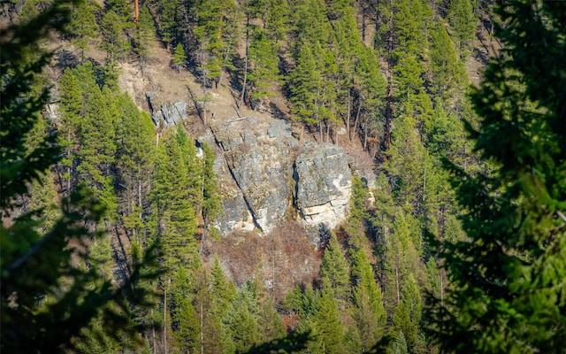 1298 E Mountain Meadow Rd, Kalispell, MT 59901 - aerial view of a heavily wooded area