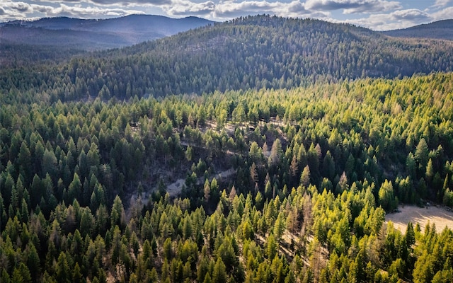 1298 E Mountain Meadow Rd, Kalispell, MT 59901 - view of mountain backdrop with a heavily wooded area