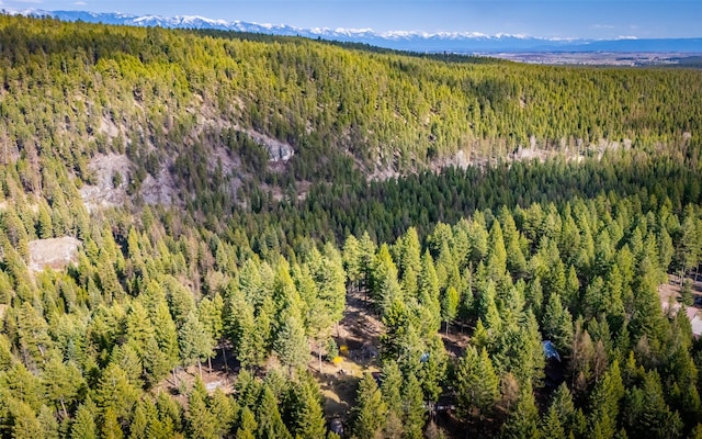 1298 E Mountain Meadow Rd, Kalispell, MT 59901 - bird's eye view of mountains