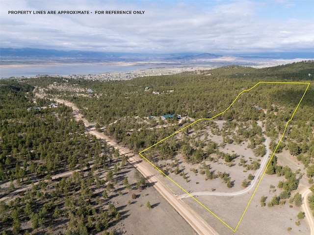 birds eye view of property with a forest view