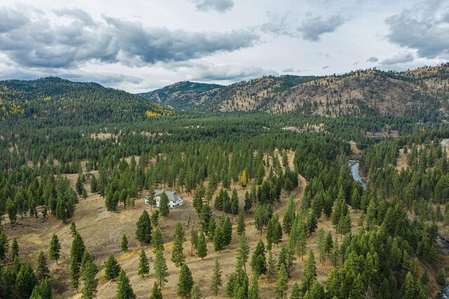 42722 Elbow Lake Rd, Seeley Lake, MT 59868