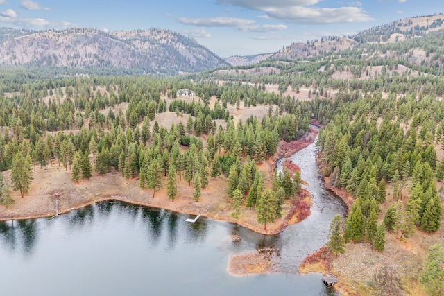 42722 Elbow Lake Rd, Seeley Lake, MT 59868