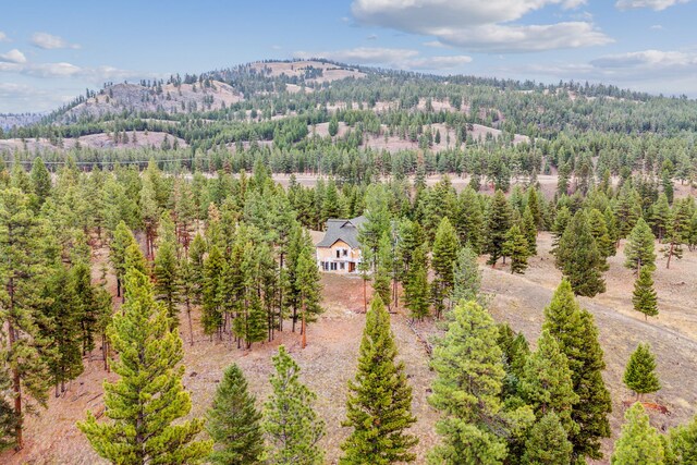 42722 Elbow Lake Rd, Seeley Lake, MT 59868