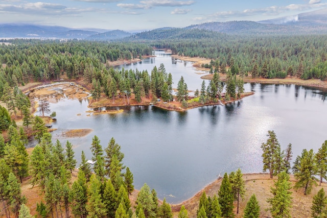 42722 Elbow Lake Rd, Seeley Lake, MT 59868