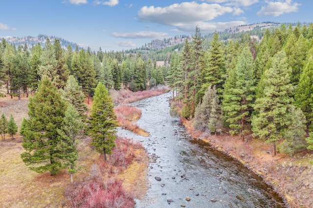 42722 Elbow Lake Rd, Seeley Lake, MT 59868