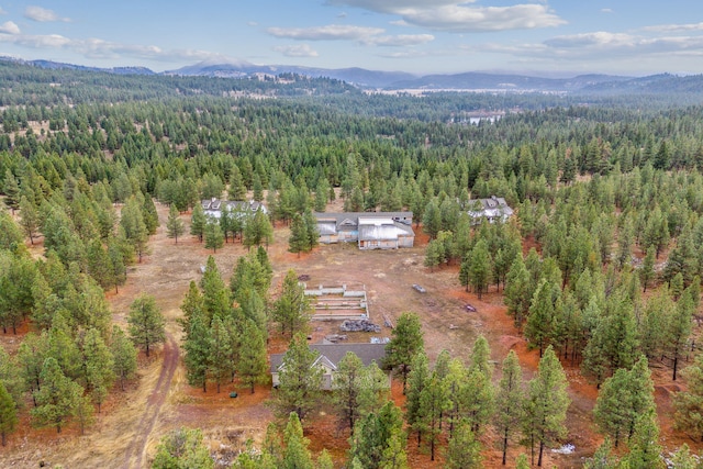 42722 Elbow Lake Rd, Seeley Lake, MT 59868