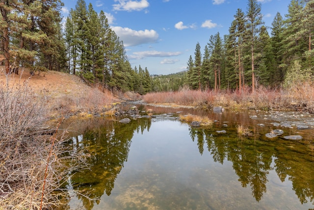 42722 Elbow Lake Rd, Seeley Lake, MT 59868