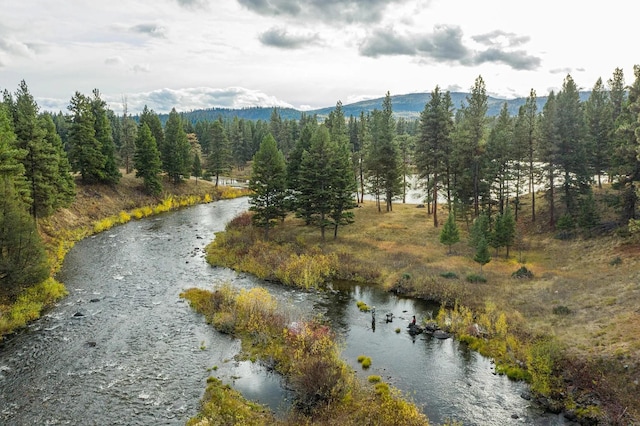 42722 Elbow Lake Rd, Seeley Lake, MT 59868