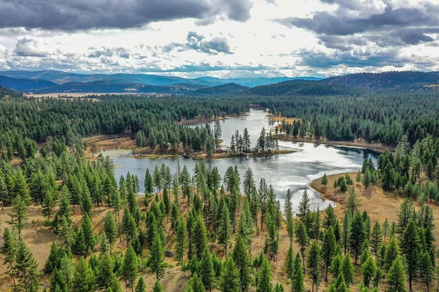42722 Elbow Lake Rd, Seeley Lake, MT 59868