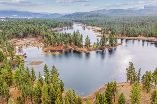 42722 Elbow Lake Rd, Seeley Lake, MT 59868