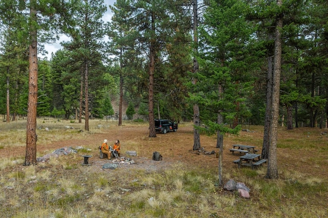 42722 Elbow Lake Rd, Seeley Lake, MT 59868