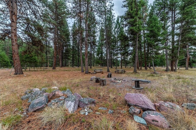42722 Elbow Lake Rd, Seeley Lake, MT 59868
