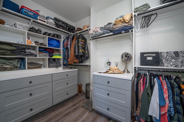 1347 Lake Pointe Dr, Bigfork, MT 59911 - spacious closet with dark wood-style flooring