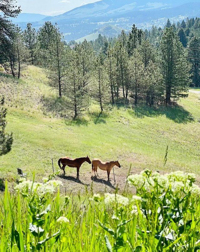 160 Jackson Creek Rd, Clancy, MT 59634 - view of mountain backdrop featuring rural landscape