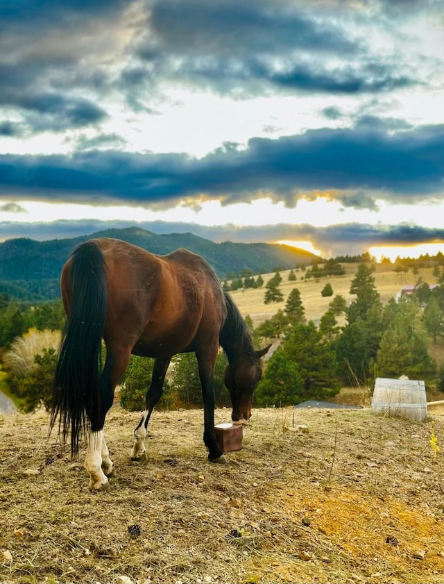 160 Jackson Creek Rd, Clancy, MT 59634 - view of mountain background featuring rural landscape