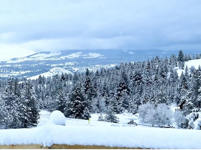 160 Jackson Creek Rd, Clancy, MT 59634 - mountain view