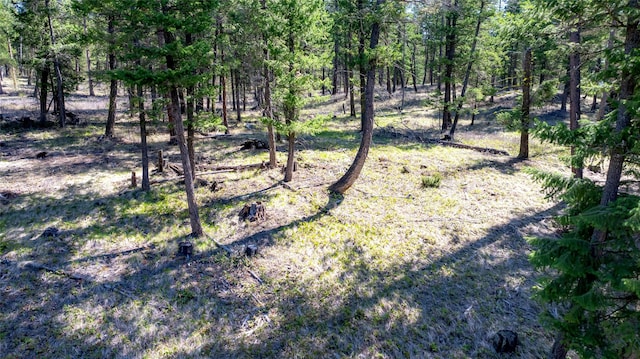 380 Viano Ln, Kalispell, MT 59901
