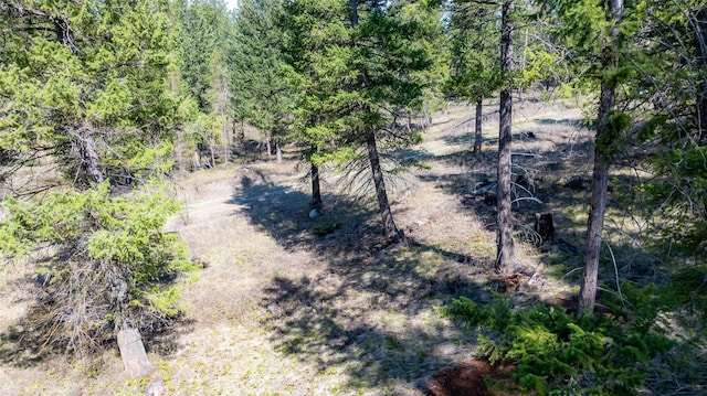 380 Viano Ln, Kalispell, MT 59901