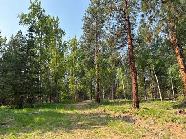 440 Sharrott Hill Loop Lot 5, Stevensville, MT 59870
