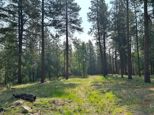 440 Sharrott Hill Loop Lot 5, Stevensville, MT 59870