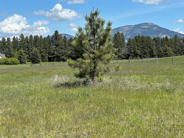119 Badrock Ct, Columbia Falls, MT 59912