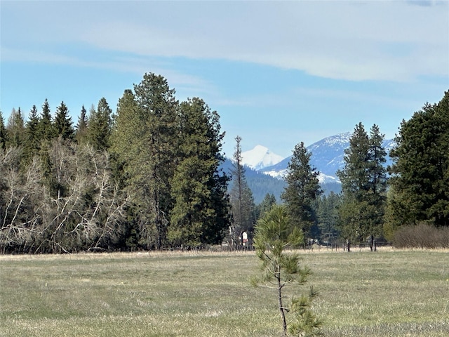 119 Badrock Ct, Columbia Falls, MT 59912