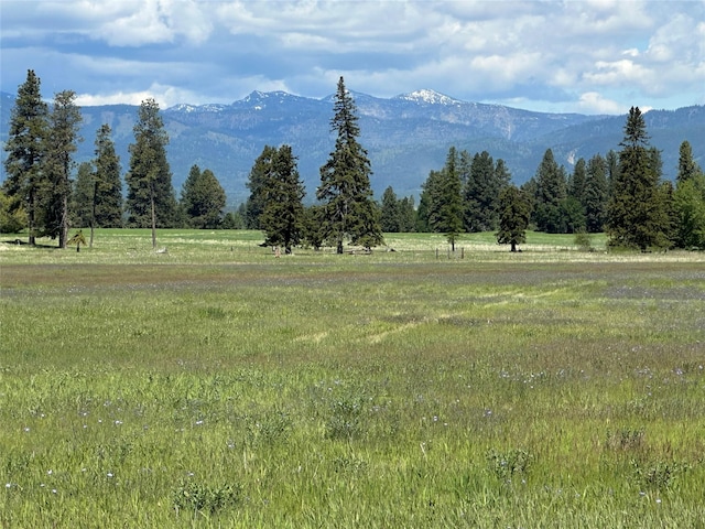 119 Badrock Ct, Columbia Falls, MT 59912