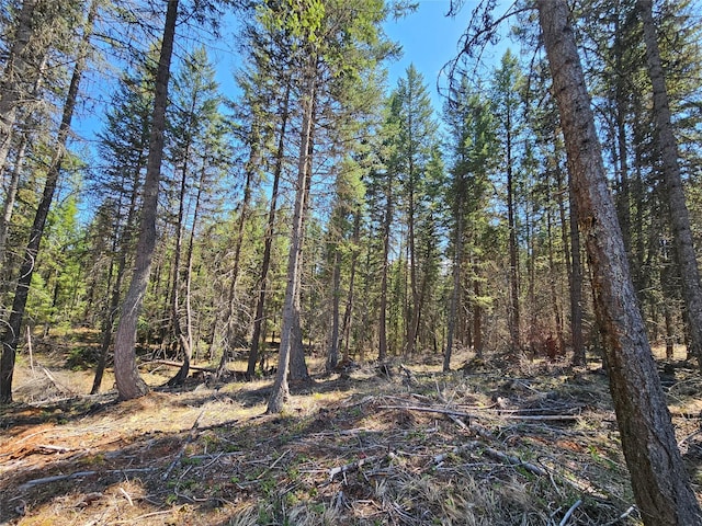 view of local wilderness featuring a forest view