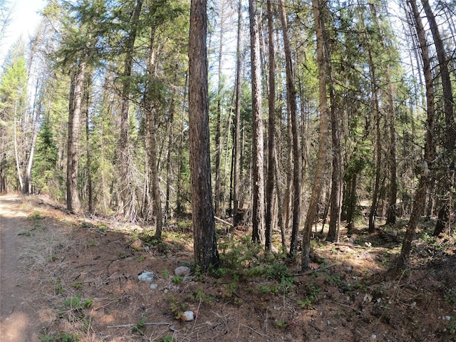 view of local wilderness with a forest view