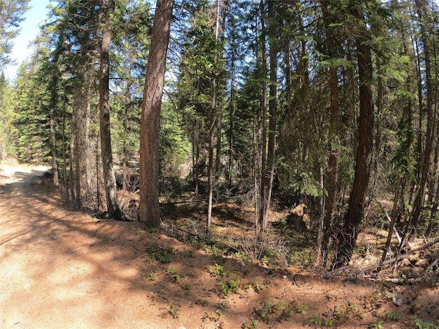 view of local wilderness