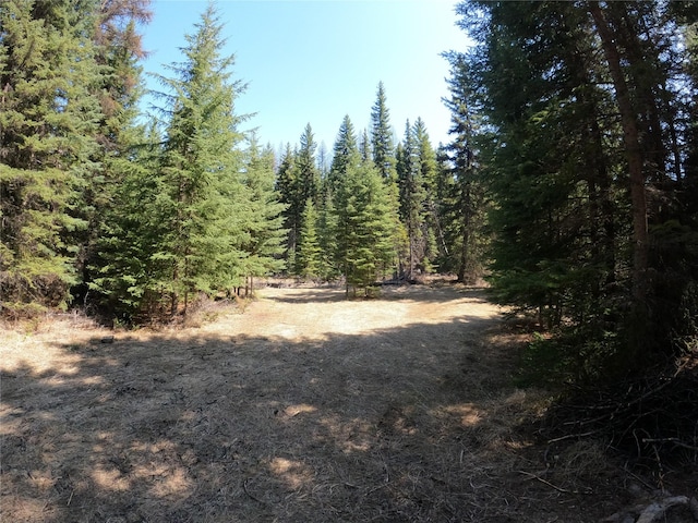 view of nature with a forest view