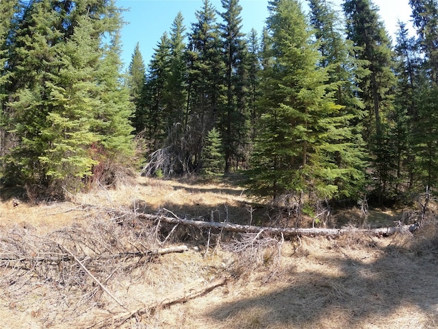 view of landscape with a wooded view