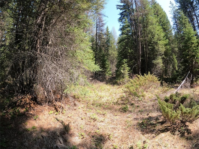 view of nature