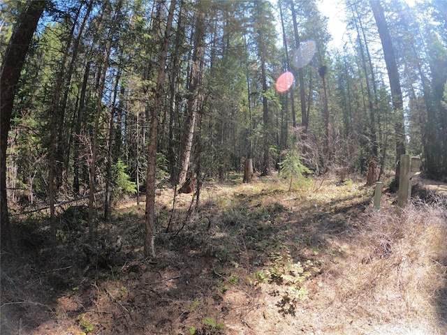 view of nature featuring a view of trees