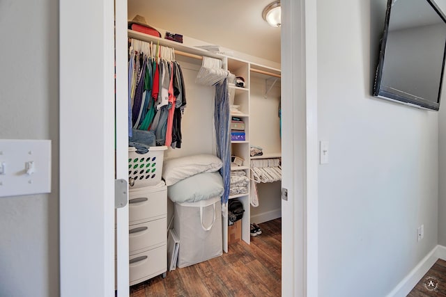 spacious closet with dark wood-type flooring