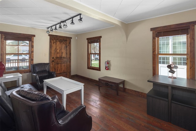 916 2nd St E, Whitefish, MT 59937 - living room with healthy amount of natural light, wood-type flooring, track lighting, and ornamental molding