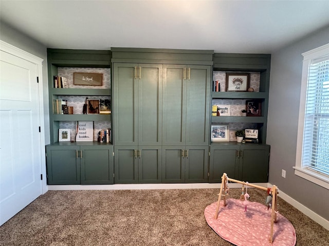 19 Country Meadow Ln, Clancy, MT 59634 - interior space with carpet and baseboards