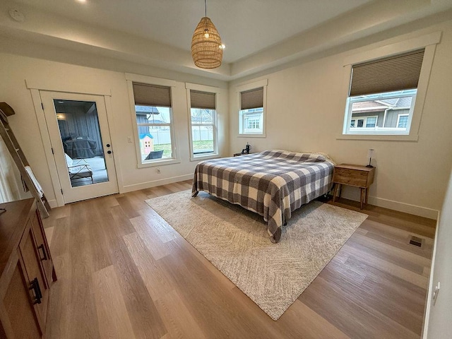 123 Owl Loop, Kalispell, MT 59901 - bedroom with baseboards, a raised ceiling, access to outside, and light wood-style flooring