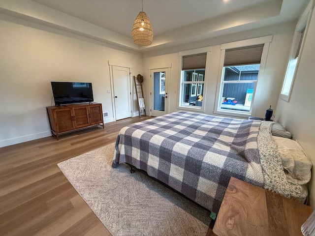 123 Owl Loop, Kalispell, MT 59901 - bedroom with baseboards, wood finished floors, and a tray ceiling