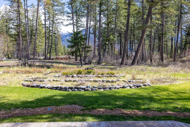 view of yard
