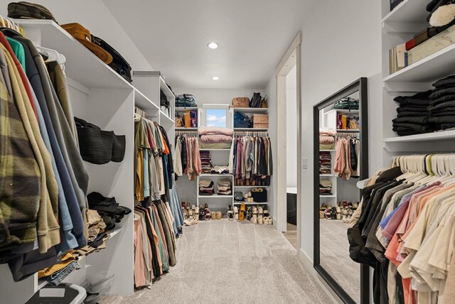 21 Bear Paw Loop, Bigfork, MT 59911 - spacious closet featuring carpet